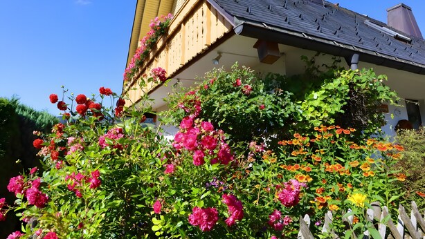 A house with a sloped roof, a chimney, and a garden with various flowers. - Apartment Rosi with Unique Panoramic View, Large Sun Terrace and Wi-Fi (Bernau im Schwarzwald)