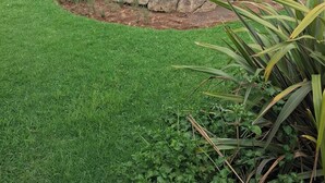 A house with a pool, surrounded by rocks and greenery. - The Address Luxurious (Johannesburg)