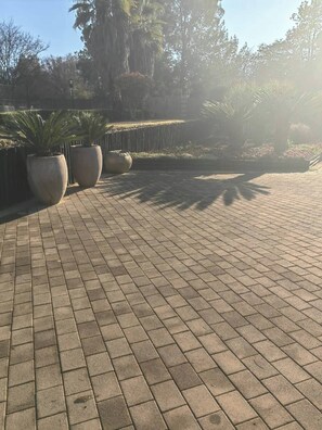 Un sendero pavimentado con macetas grandes y árboles al fondo.