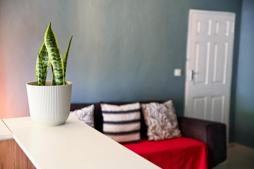 Habitación doble, no fumadores, Aire acondicionado | Interior