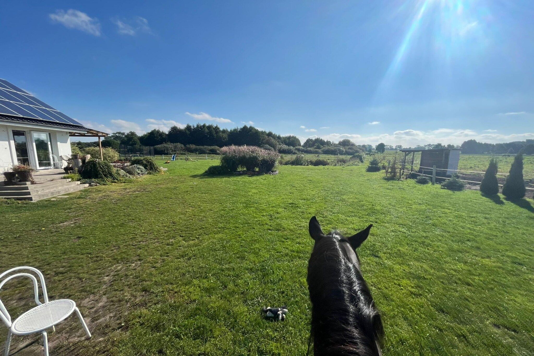 Un espacio al aire libre con césped, un edificio blanco, una silla y un caballo.