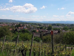 Miscellaneous