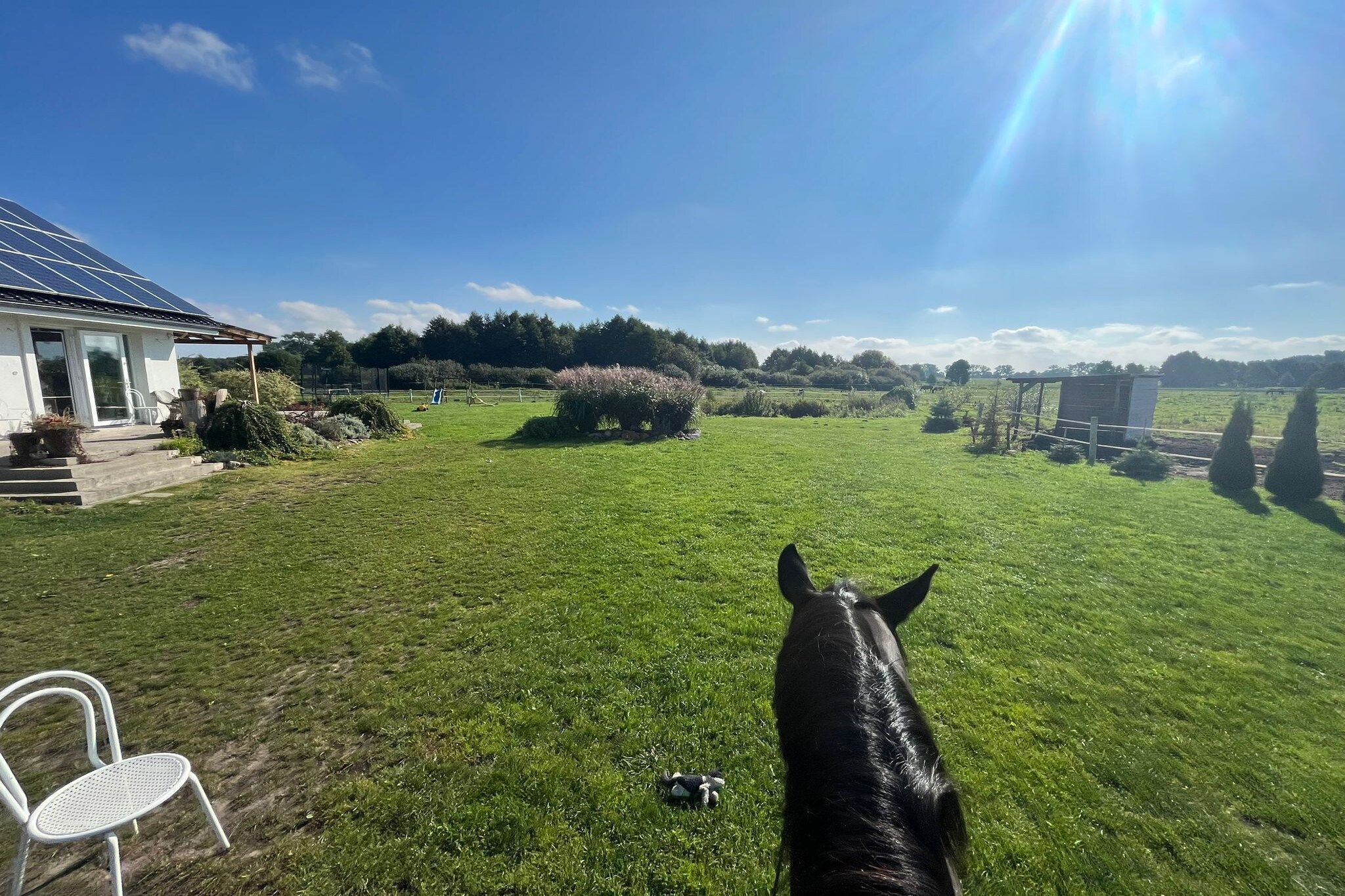 Un champ verdoyant avec un cheval, un bâtiment blanc doté d’un panneau solaire et un ciel dégagé.