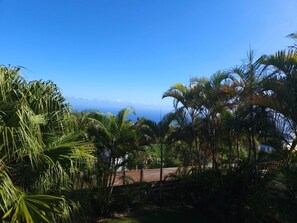 A tropical landscape with palm trees and a clear view of the ocean. - La Case des Fleurs de Jade - Avec piscine-jacuzzi (Petite Île)