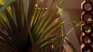 A plant with long leaves in a well-lit area with sunlight. - Terra Verde Oia Suites - Sienna Premium Room (Oia)