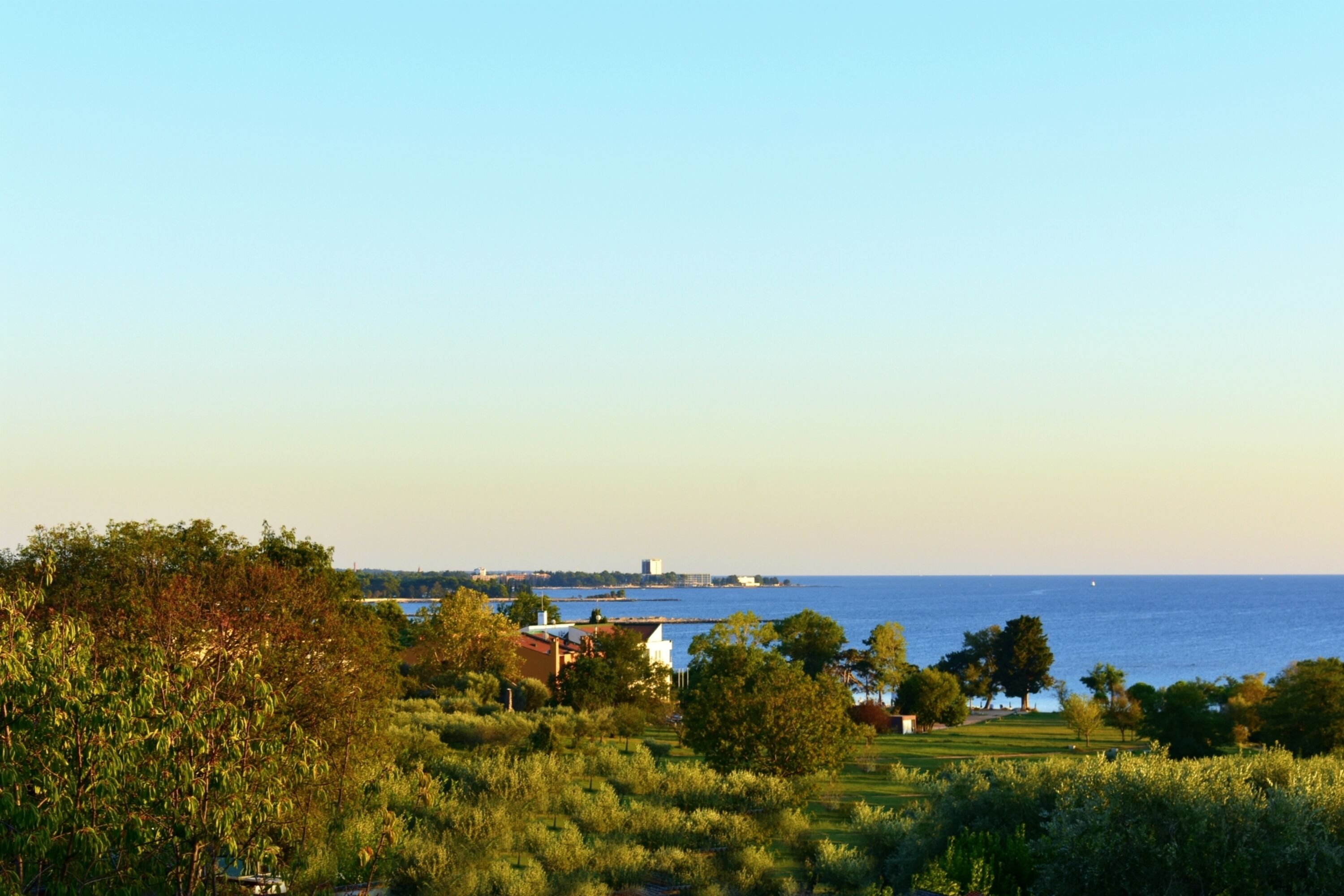 A coastal landscape with a view of the sea, greenery, and buildings in the distance.