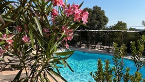 A poolside area with lounge chairs, a clear blue pool, and pink flowers in the foreground. - Villa Roccapina (Sotta)