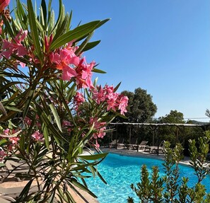 Pool - Vrbo Property (Sotta)