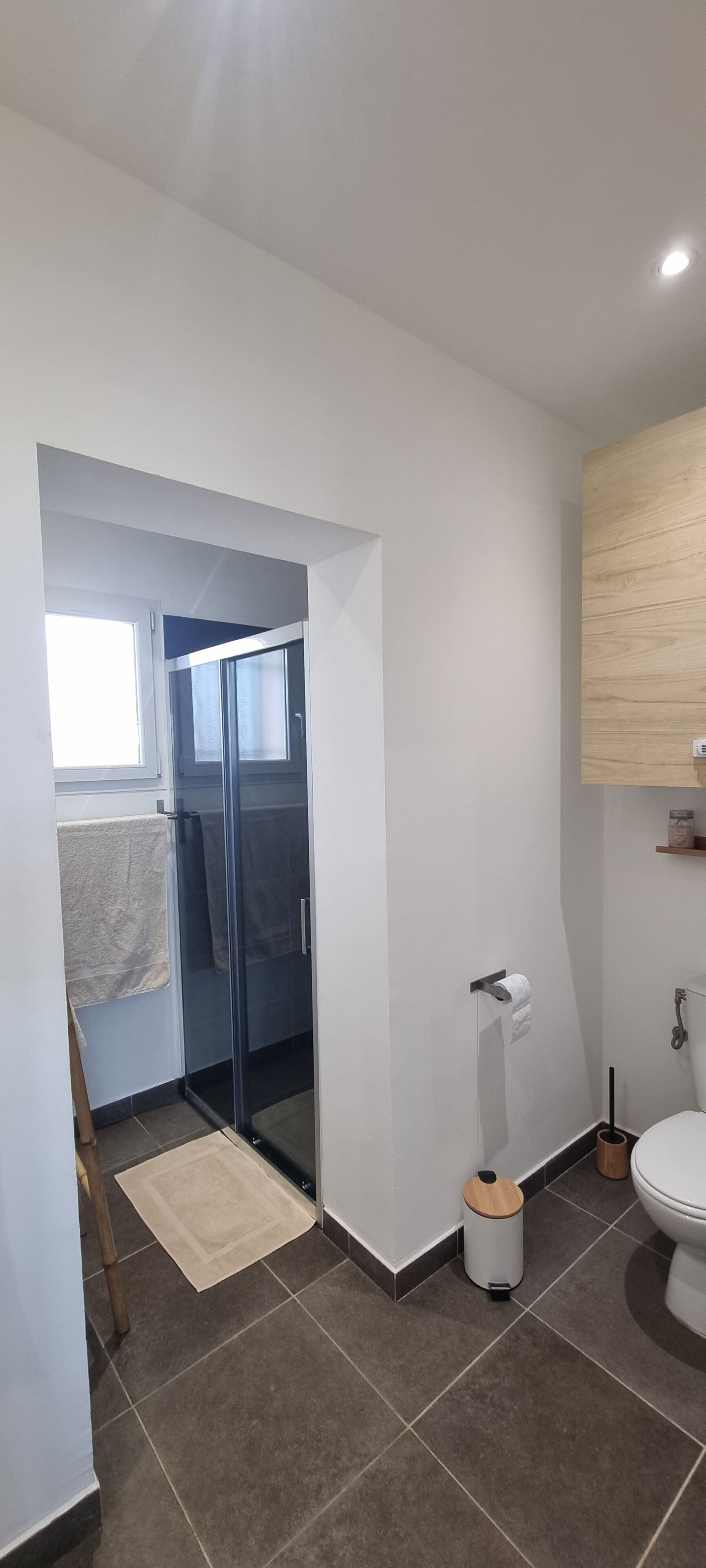 A modern bathroom with a glass shower enclosure, a toilet, a sink, and a wooden cabinet.