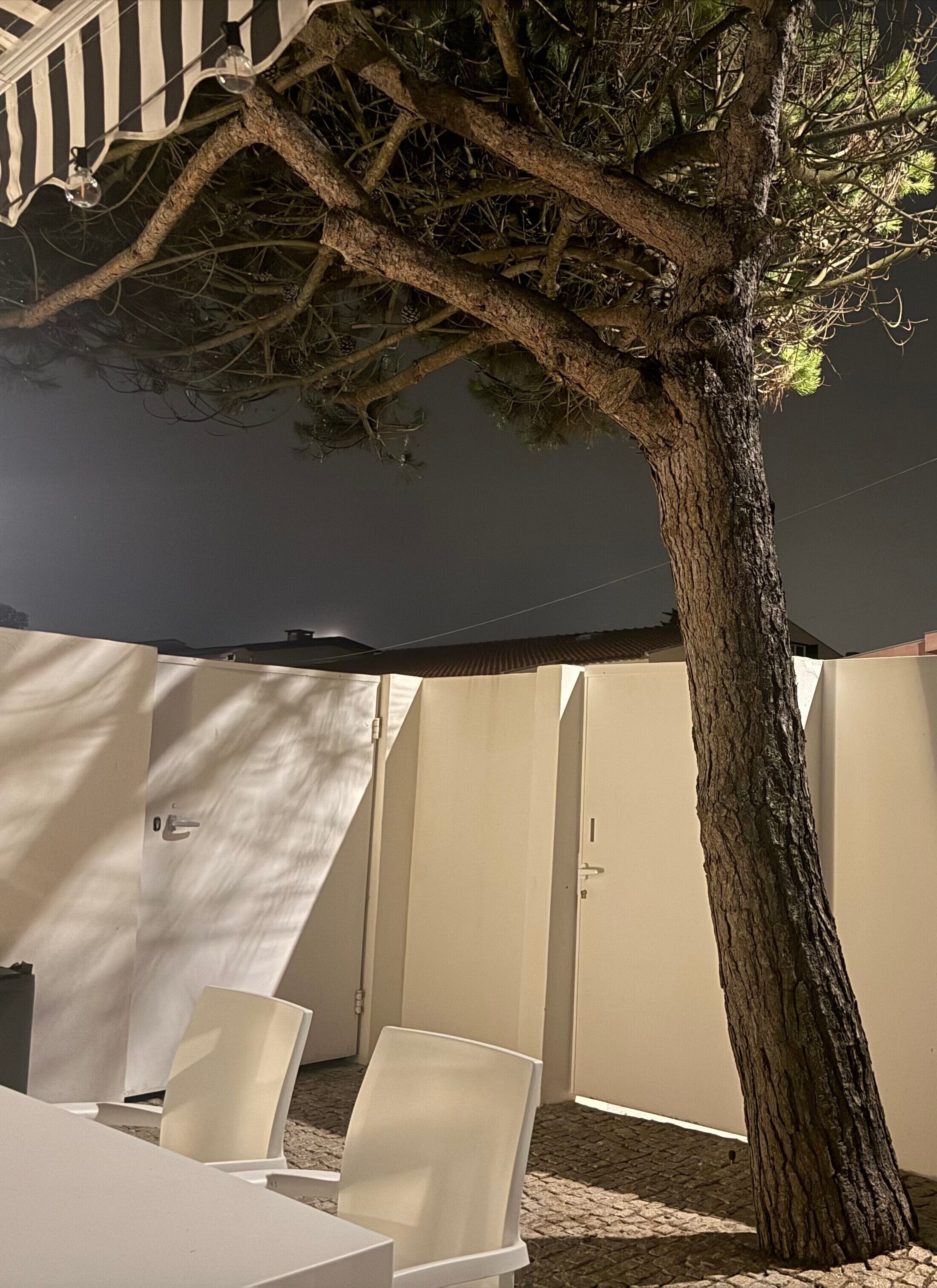 Un arbre dans un espace extérieur abrité, avec une table et des chaises.
