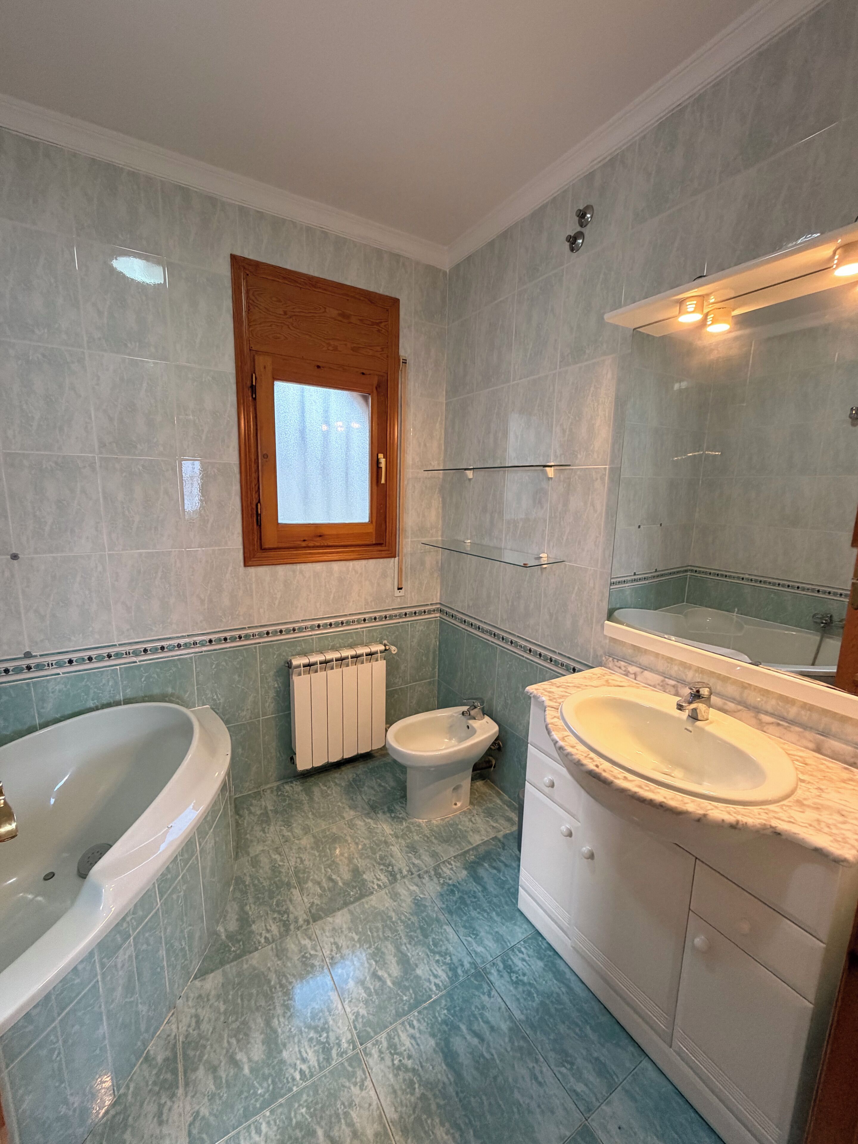 Bidet, towels, soap, toilet paper