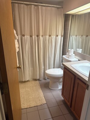 Bathroom - Gorgeous 4-bedroom penthouse condo with building elevator at Wintergreen! (roseland)