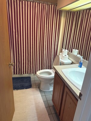 Bathroom - Gorgeous 4-bedroom penthouse condo with building elevator at Wintergreen! (roseland)