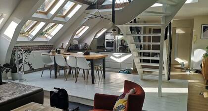 Bail Mobilité, Grand Loft hypercentre de Lille