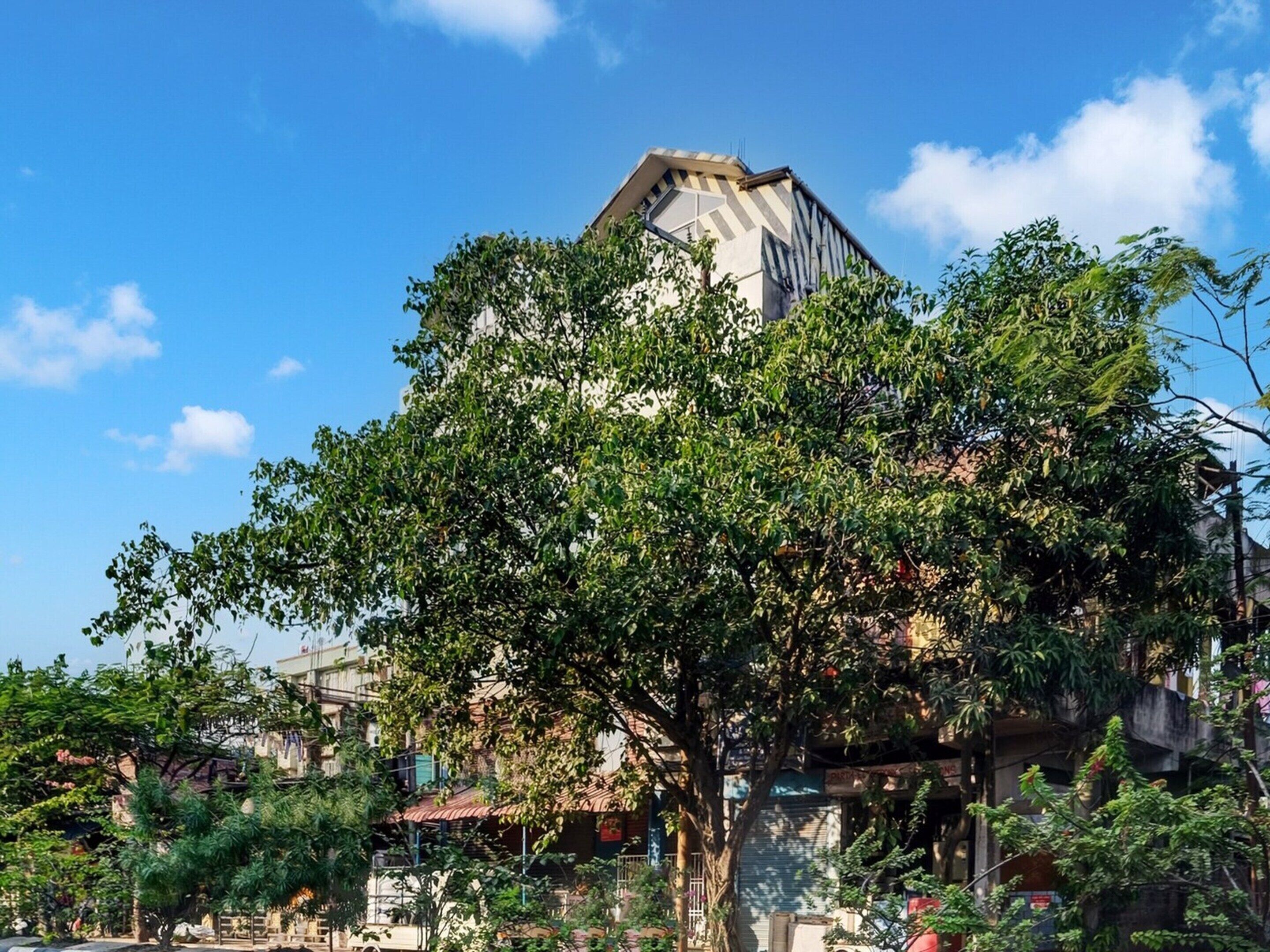 Nhà | Ngoại thất