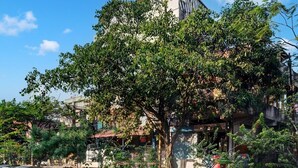 A building with a distinctive geometric roof, surrounded by lush greenery and other buildings. - Hotel O Noonmati Guwahati (Guwahati)