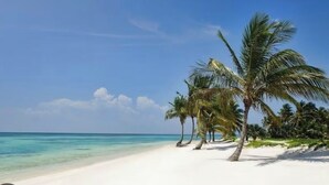 Een strand met wit zand, helder turquoise water en palmbomen.