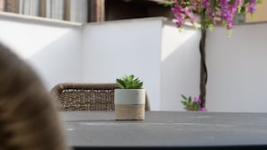 A small potted plant on a table, a wicker chair, and a wall with a plant. - MyFlats La Marina (Alicante)