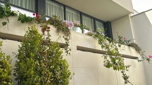 A building facade with a series of windows, some with curtains, and a variety of plants and flowers growing on the exterior walls. - Club64  (Andria)
