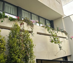 Detalle exterior