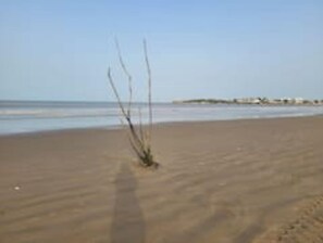 Beach - 3-room apartment near beach with garden (Saint-Georges-de-Didonne)