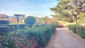 A paved pathway flanked by neatly trimmed hedges and trees, leading to a building with a sloped roof and a visible entrance. - 40m² AC Studio with Balcony & Parking (Sanary-sur-Mer)