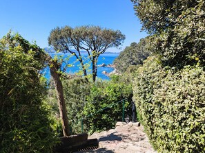 A pathway leading to a coastal area with trees and a view of the sea. - Rustic house with amazing sea view (Le Pradet)