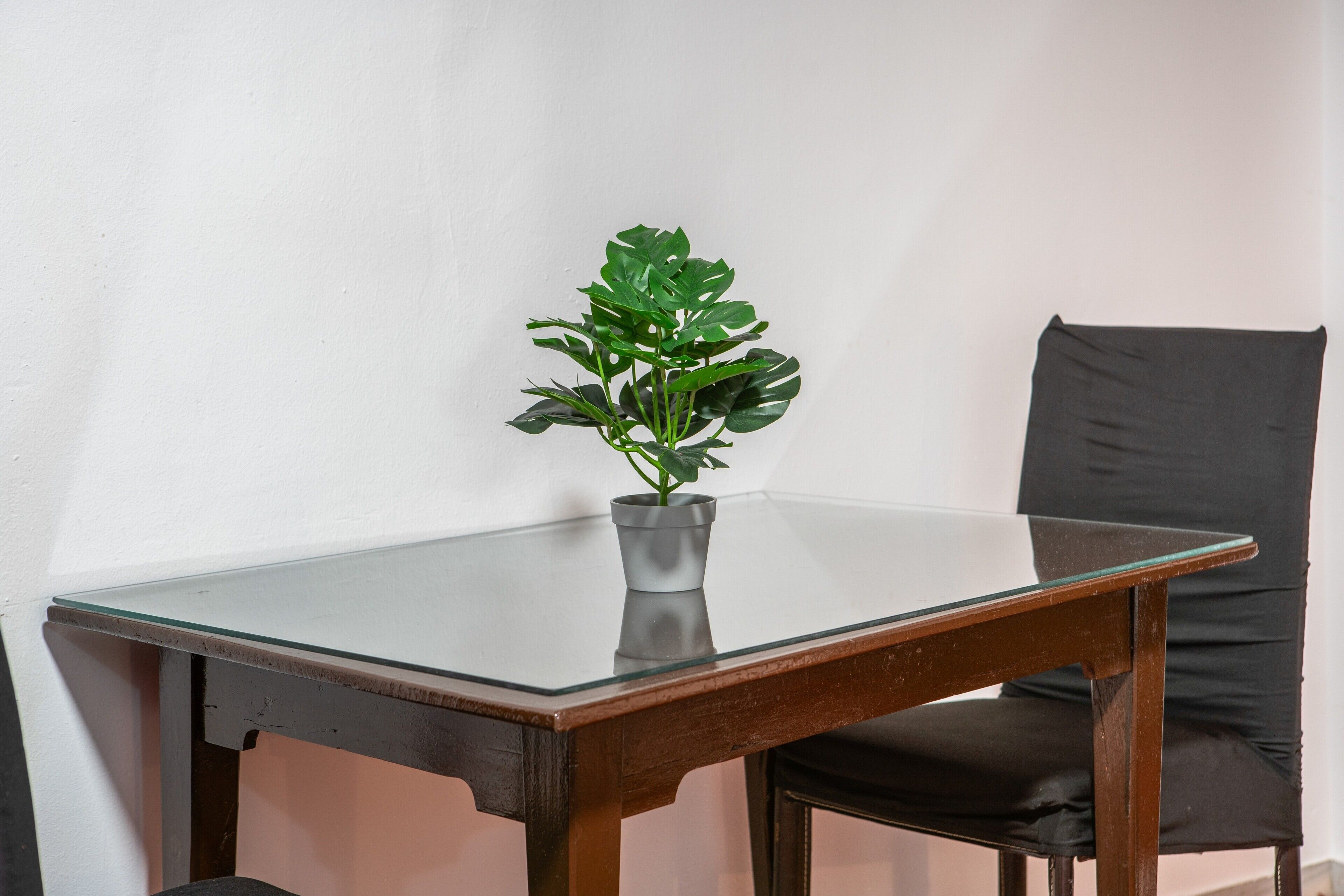 A glass-top table with a dark wooden frame, a potted plant, and a black chair against a white wall.