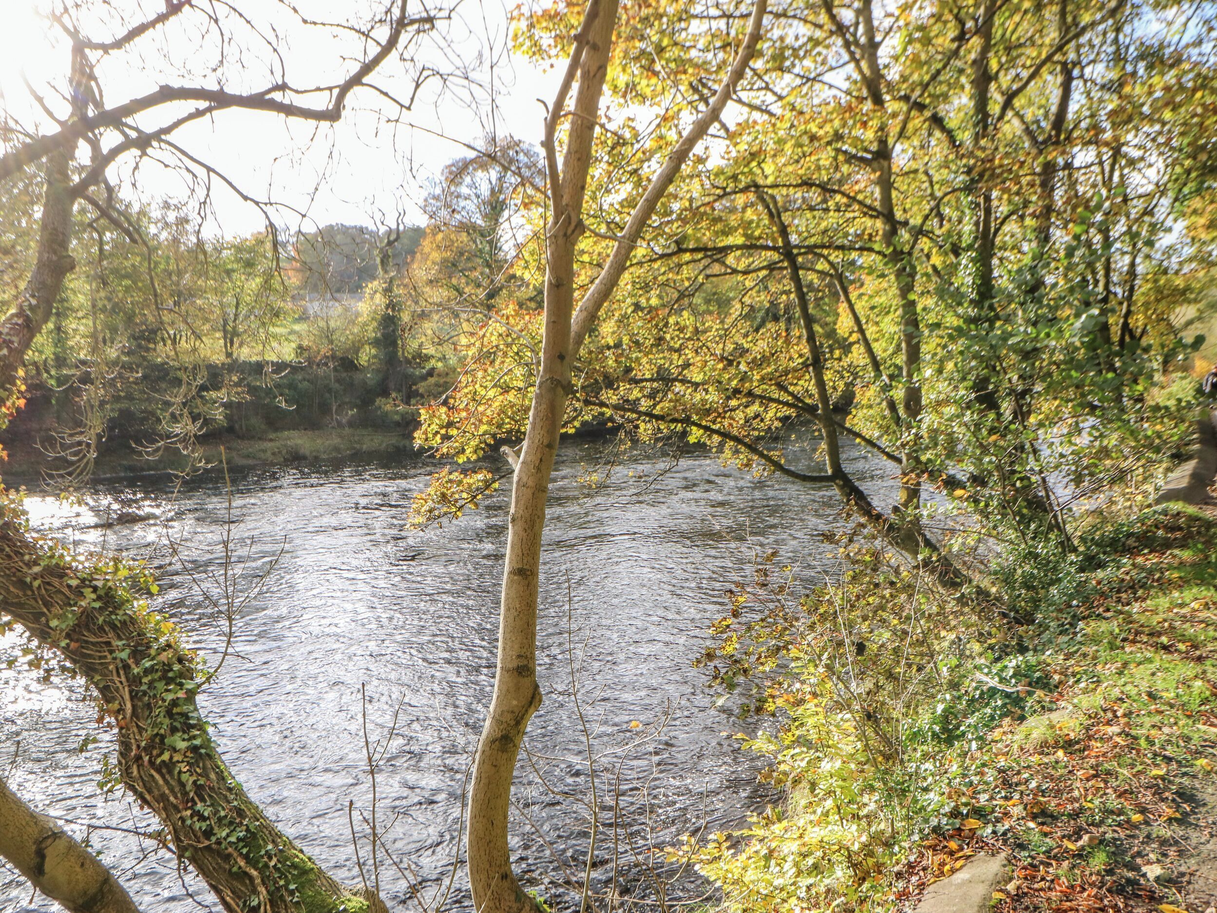 Une rivière bordée d’arbres et de feuillage en arrière-plan.