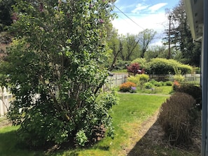 Ein Garten mit verschiedenen Pflanzen und einem Holzzaun.