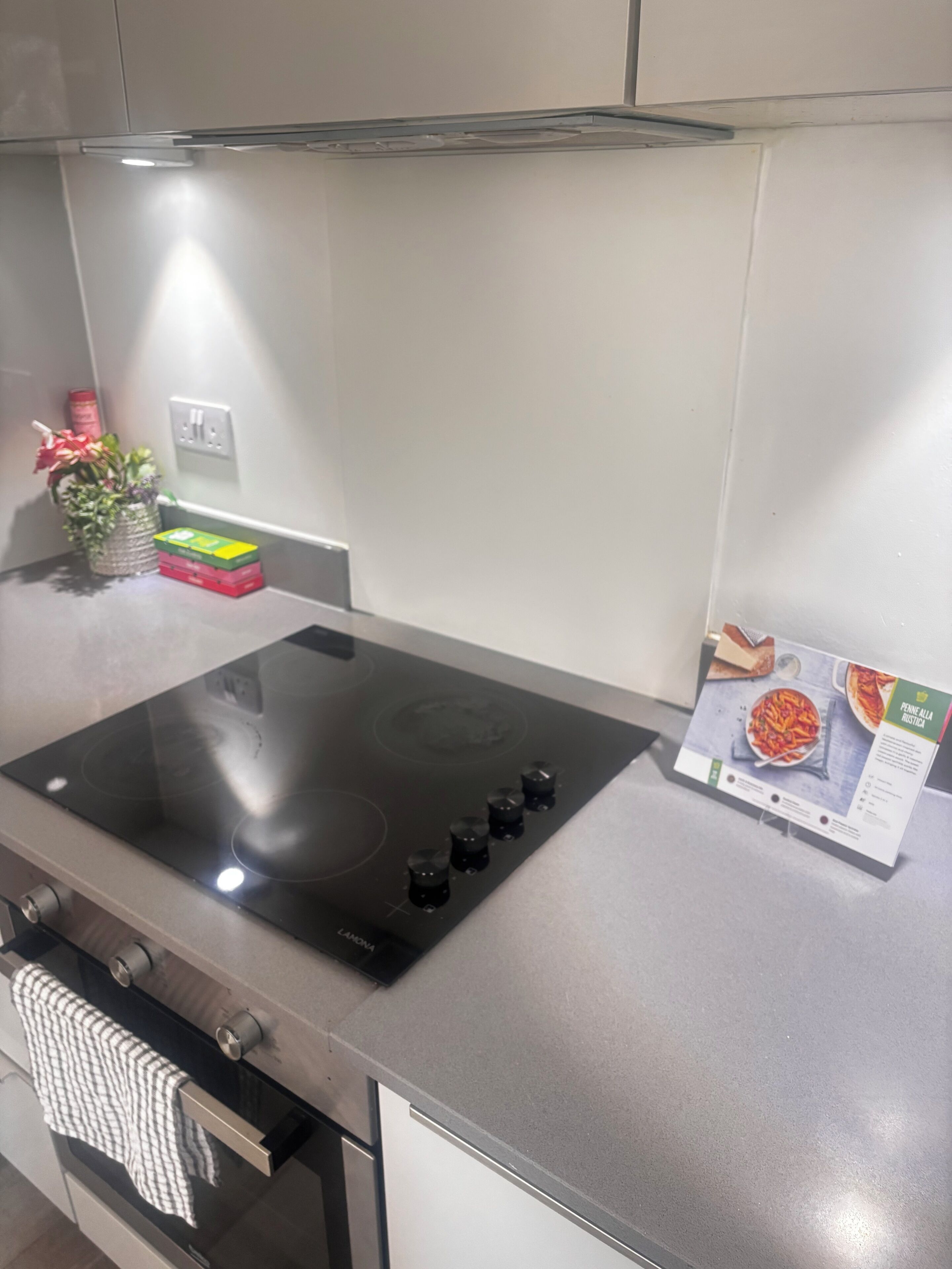Une cuisine équipée d’une plaque de cuisson à induction moderne, d’un four en acier inoxydable et d’une petite plante en pot posée sur le plan de travail.