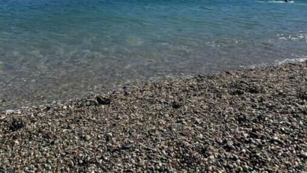 Ett kustlandskap med klart vatten, en strand med småsten och en kulle med byggnader.