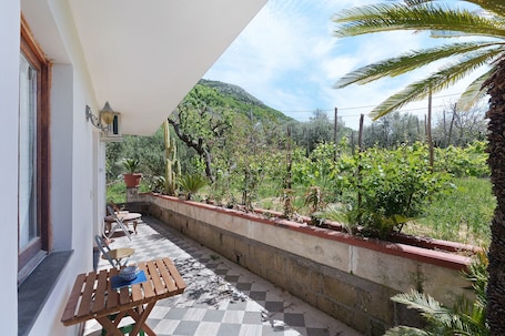 Terrace/patio. Apartment between Pompeii, Sorrento & Positano with Balcony and Wi-Fi