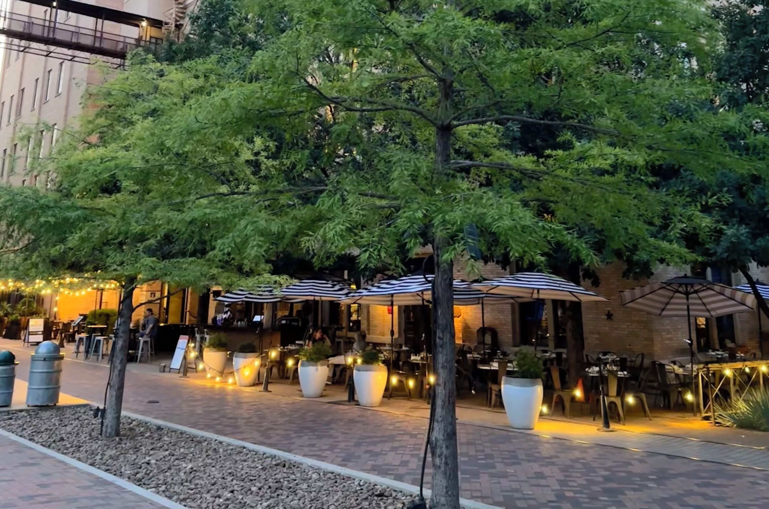 An outdoor seating area with tables and chairs, surrounded by trees and potted plants.