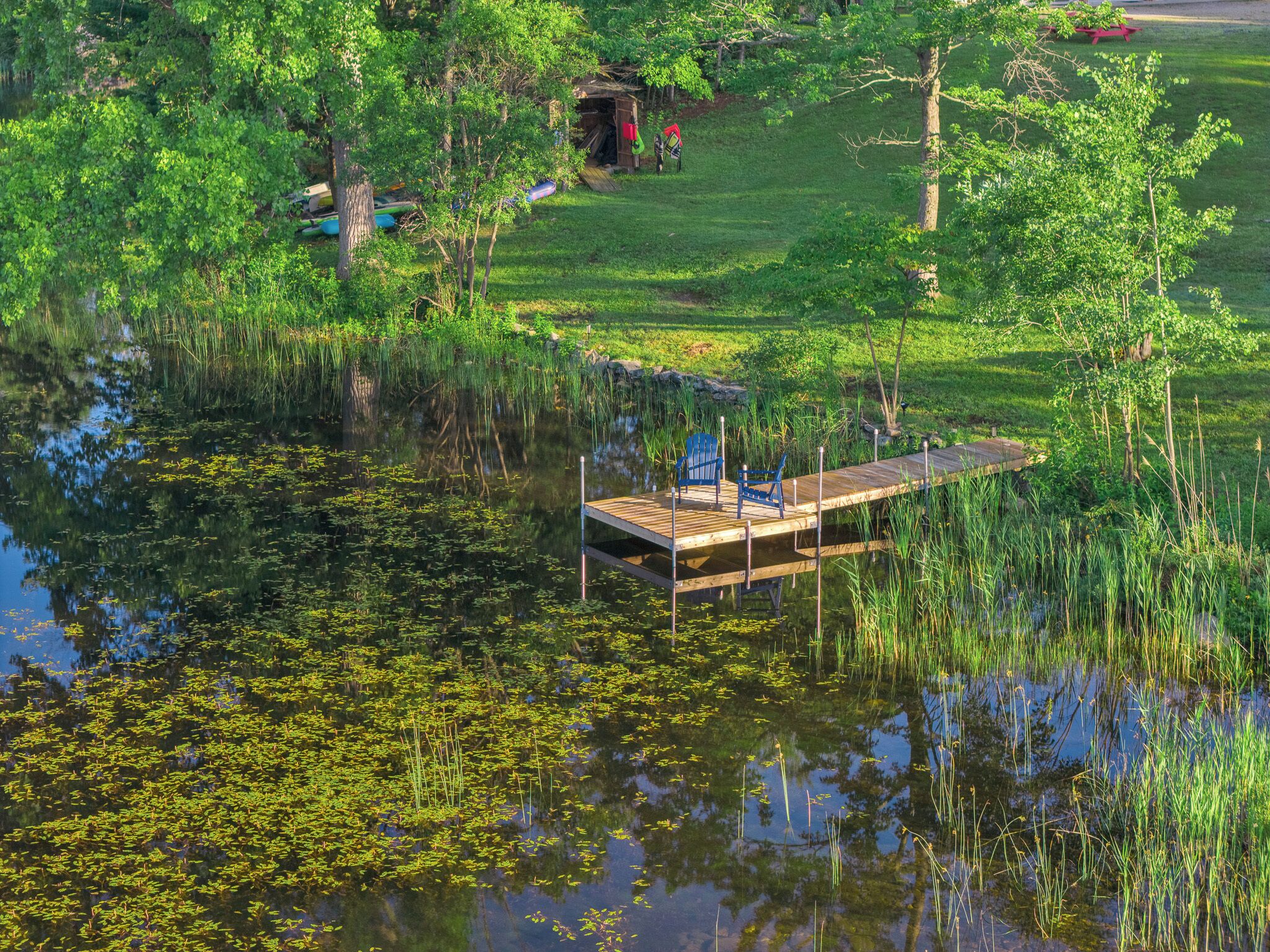 A wooden dock extending into a pond surrounded by lush greenery and trees.