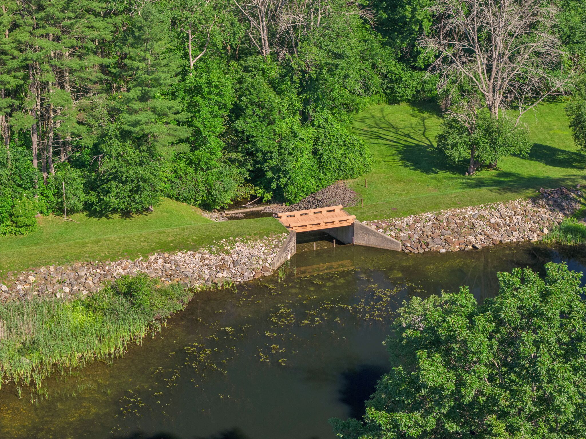 Un puente de madera sobre un río tranquilo con un terraplén de piedra, rodeado de árboles y hierba verde y densa.