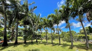 A lush garden with palm trees and a clear blue sky. - La Casa 974 (Saint-Pierre)