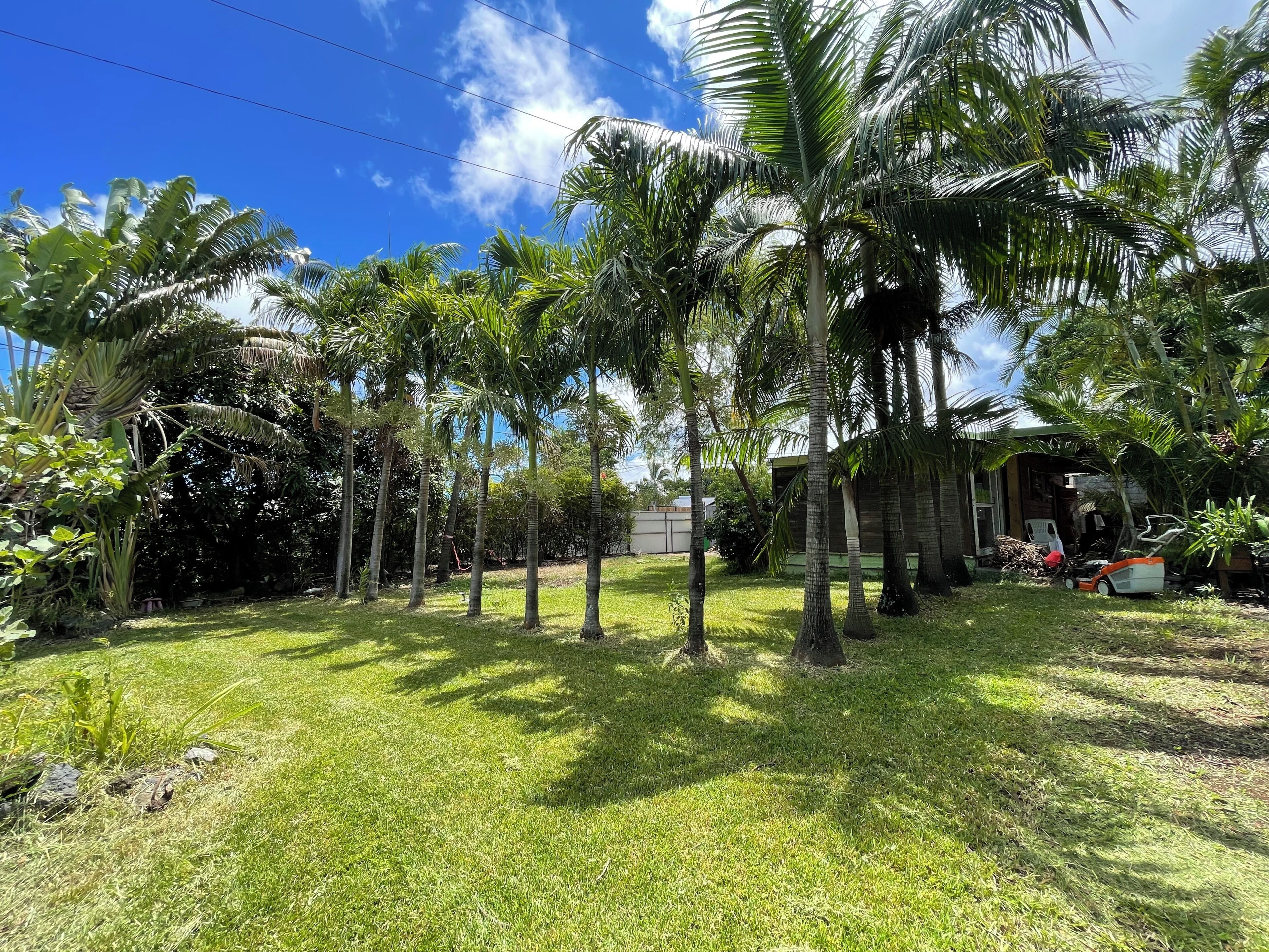 A lush garden with palm trees, a grassy lawn, and a building with a garage.