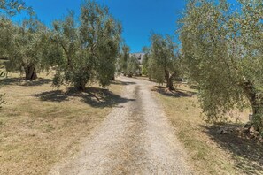 Property grounds - Poggio di Peschici by BarbarHouse (Peschici)