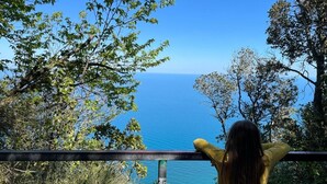 Une personne se tient face à un paysage pittoresque, contemplant une étendue d’eau, avec des arbres et une balustrade au premier plan.