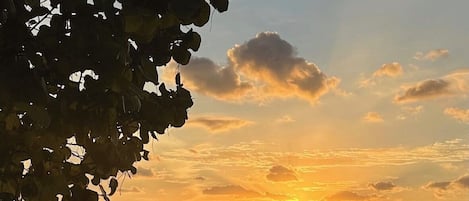 Aurinkotuoleja, rantapyyhkeitä