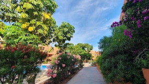 A pathway flanked by lush greenery and flowering plants, leading to a building with a clear blue sky above.
