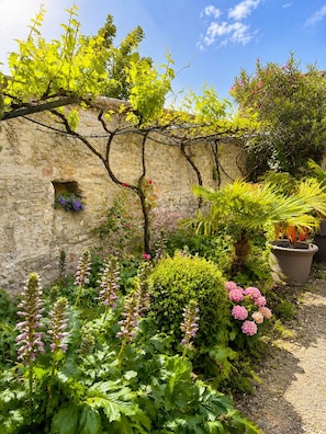 Un jardí amb una paret de pedra, diferents plantes i una planta en test.
