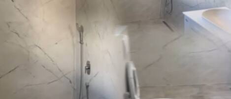 Shower, hair dryer, bidet, towels