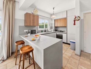 Fridge, microwave, oven, stovetop - Villa Marilena: Spacious Protaras Villa with Pool (Protaras)