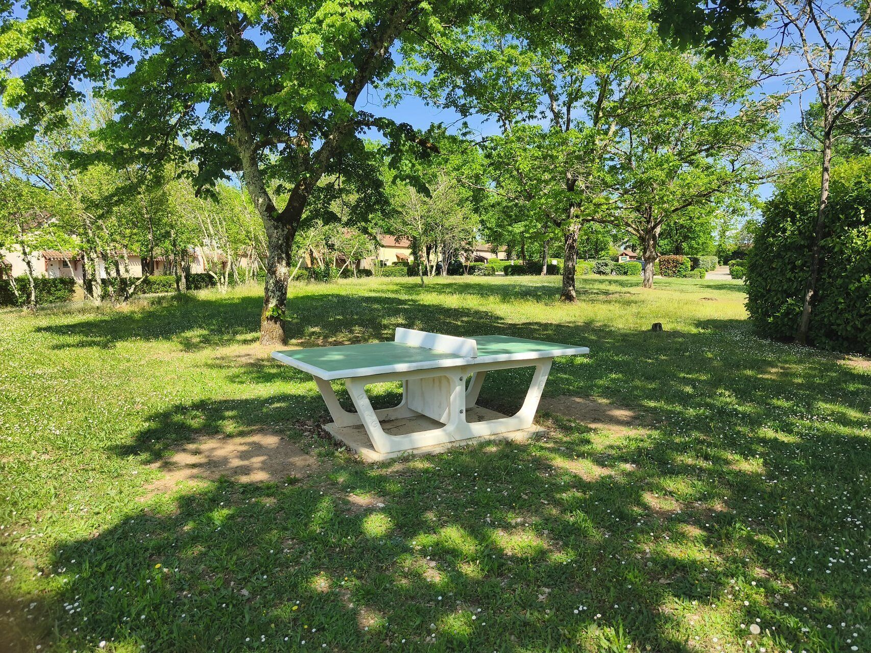 Un parque con una mesa de picnic verde y árboles.