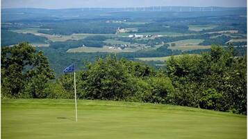 A golf course with a flagstick, surrounded by trees and rolling hills.
