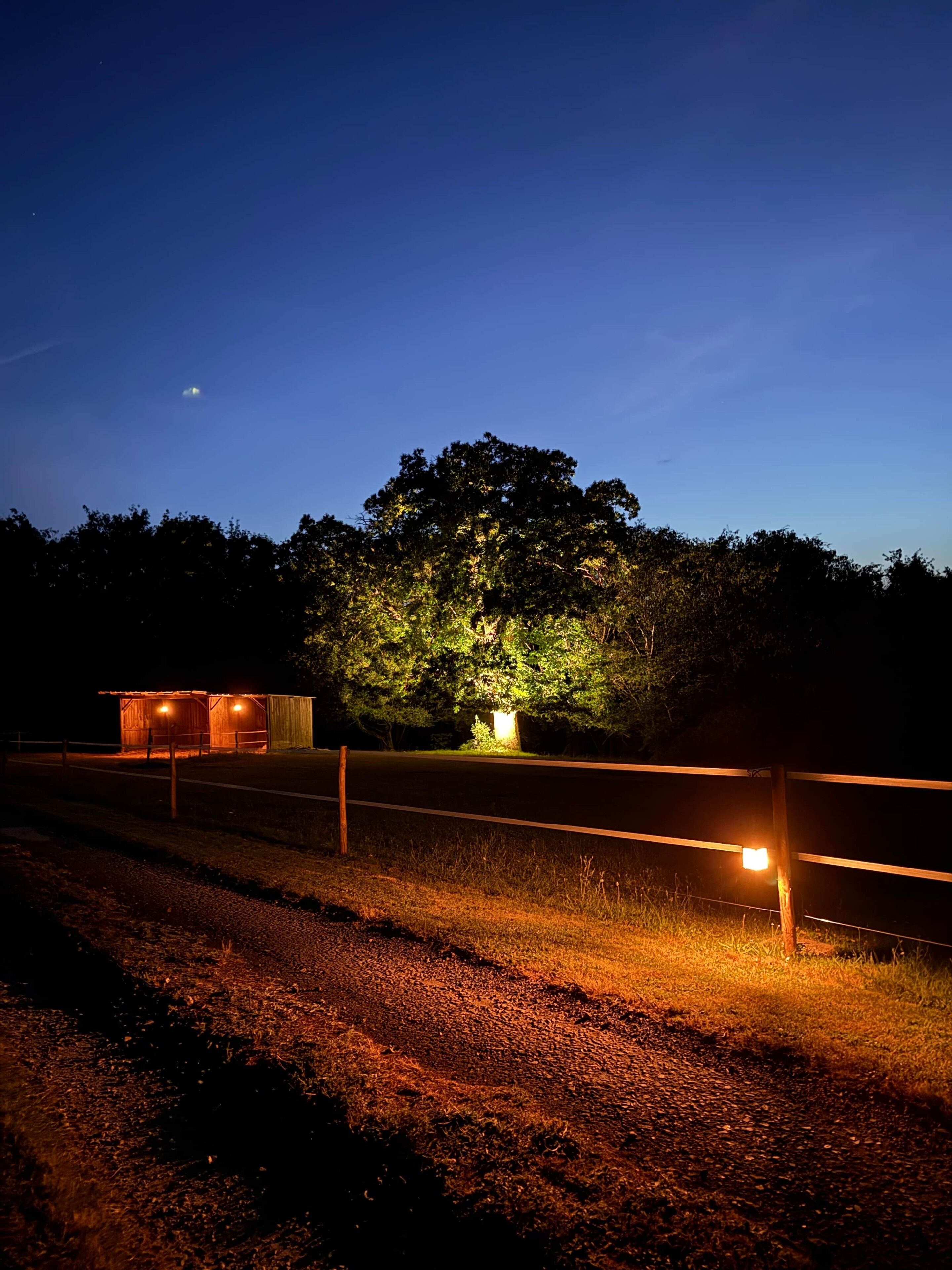 Une route de campagne la nuit, avec un arbre illuminé par une lumière artificielle, une clôture en bois et un petit bâtiment éclairé.