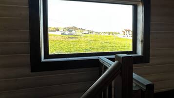 A window with a view of a green field and buildings in the distance.