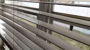 A window with horizontal blinds partially open, allowing a view of the outdoors. - Private Secure BBQ Man Cave near Beach & Casinos (Hollywood)